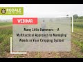 Thumbnail for Webinar: Many Little Hammers—A Multitactical Approach to Managing Weeds in...
