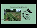 Thumbnail for Working with Small Organic Farming Operations 09.55