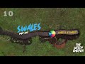 Thumbnail for HOW TO BUILD SWALES - and harvest water