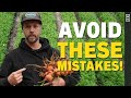 Thumbnail for 5 Garden Mistakes To AVOID For Healthy Soil And Healthy Plants