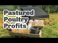 Thumbnail for HOW TO RUN A PROFITABLE PASTURED POULTRY BUSINESS S5 ● E40