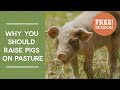 Thumbnail for Why You Should Raise Pigs on Pasture: Free Masterclass Session | Joel...