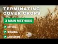 Thumbnail for How to Terminate Cover Crops