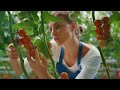 Thumbnail for Aquaponics in Permaculture: A Harmonious Integration