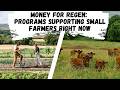 Thumbnail for Money for Regen: Programs Supporting Small Farmers Right Now