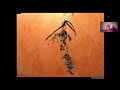 Thumbnail for Christine Jones - BioFarm 2020 Day 1