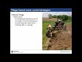 Thumbnail for John Wallace OGRAIN 2019 - Multiple tactics to manage weeds in...