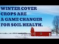 Thumbnail for Why Winter Cover Crops Are a Game Changer