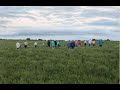 Thumbnail for Fix Your Mix: Using Management Goals to Create Diverse Cover Crop Seed Mixes