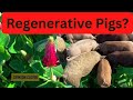 Thumbnail for Can Pastured Pigs Be Regenerative?
