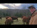 Thumbnail for Fertilizer prices are skyrocketing. Will your farm survive?