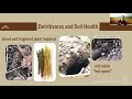 Thumbnail for Getting to Know Soil Invertebrates 1
