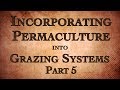 Thumbnail for Incorporating Permaculture into Grazing Systems Part 5