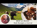 Thumbnail for How to Design Livestock Systems So You Won’t Have to Eat BUGS
