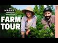Thumbnail for $64K From JUST ONE Greenhouse?! This Small Farm Is Making Money 💰