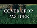 Thumbnail for CC Pastures