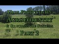 Thumbnail for High Productivity Agroforestry & Silvopasture Systems with Geoffrey Steen Part 2
