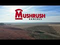 Thumbnail for A Day in the Life: Daniel Mushrush, Mushrush Ranches