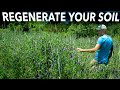 Thumbnail for Cover Cropping for Soil Health | No-Till and Low-Till Strategies