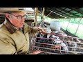 Thumbnail for How Joel Salatin brings out the “Pigness” of the Pig