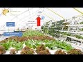 Thumbnail for Analyzing Inputs for greenhouse heating & cooling