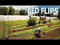 Thumbnail for Maintaining a Continuous Garden
