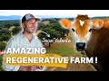 Thumbnail for He Built a Profitable 1000-ha Regenerative Farm in Portugal 🇵🇹