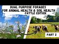 Thumbnail for Dual Purpose Forages for Livestock Health & Soil Part 2