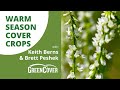 Thumbnail for Warm Season Cover Crop Species with Keith Berns & Brett Peshek