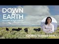 Thumbnail for Episode 200 - Meet Xochitl, Quivira's new Executive Director