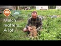 Thumbnail for Mulch Matters and Here's Why | Permaculture for Healthy Soil and Growing Food