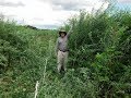 Thumbnail for #RegrariansTALK 1 - Regenerative Grazing - Jaime Elizondo Braun - 2018