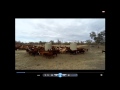 Thumbnail for Tony Lovell - Savory Institute Putting Grasslands to Work Conference