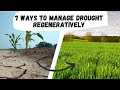 Thumbnail for 7 Regenerative Ways to Manage Drought