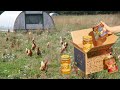 Thumbnail for Fond Bone Broth - From Health Challenges to Regenerative Bone Broth!
