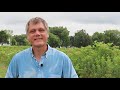 Thumbnail for Growing Elderberries | Challenges and Practices | Alan Helland