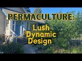 Thumbnail for Permaculture Food Forest Concepts: Lush, Dynamic Design