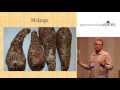 Thumbnail for Perennial Vegetables for Profit with Taylor Walker