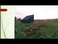 Thumbnail for Cathal Mooney - BioFarm 2021 Day 2