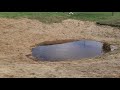 Thumbnail for Our ram farm has a beautiful new pond created from a previously old mud hole.