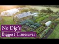 Thumbnail for Soil with few weeds gives you more time to grow