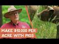 Thumbnail for How to take marginal land and turn it into $10,000/acre with pigs | Joel Salatin