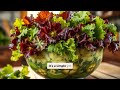 Thumbnail for Companion Planting Secrets: How to Improve Growth & Repel Pests Naturally