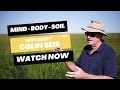 Thumbnail for Mind - Body - Soil | Episode 2 with Colin Seis