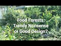 Thumbnail for What is a food forest? How does it differ from an orchard?