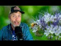 Thumbnail for What No-Till Means From Crops You Dig Up  + The Bees Are Dying