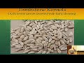 Thumbnail for Thor Oechsner OGRAIN 2020 Harvest and post harvest tips for long-term grain quality
