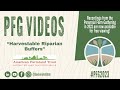 Thumbnail for PFG 2023: Harvestable Riparian Buffers