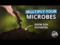 Thumbnail for 3-Steps to Rapid Soil Regeneration Part 2: Multiplying the Beneficial Microbes