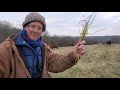 Thumbnail for Greg is grazing hay on the stem where it was grown, huge money savings.